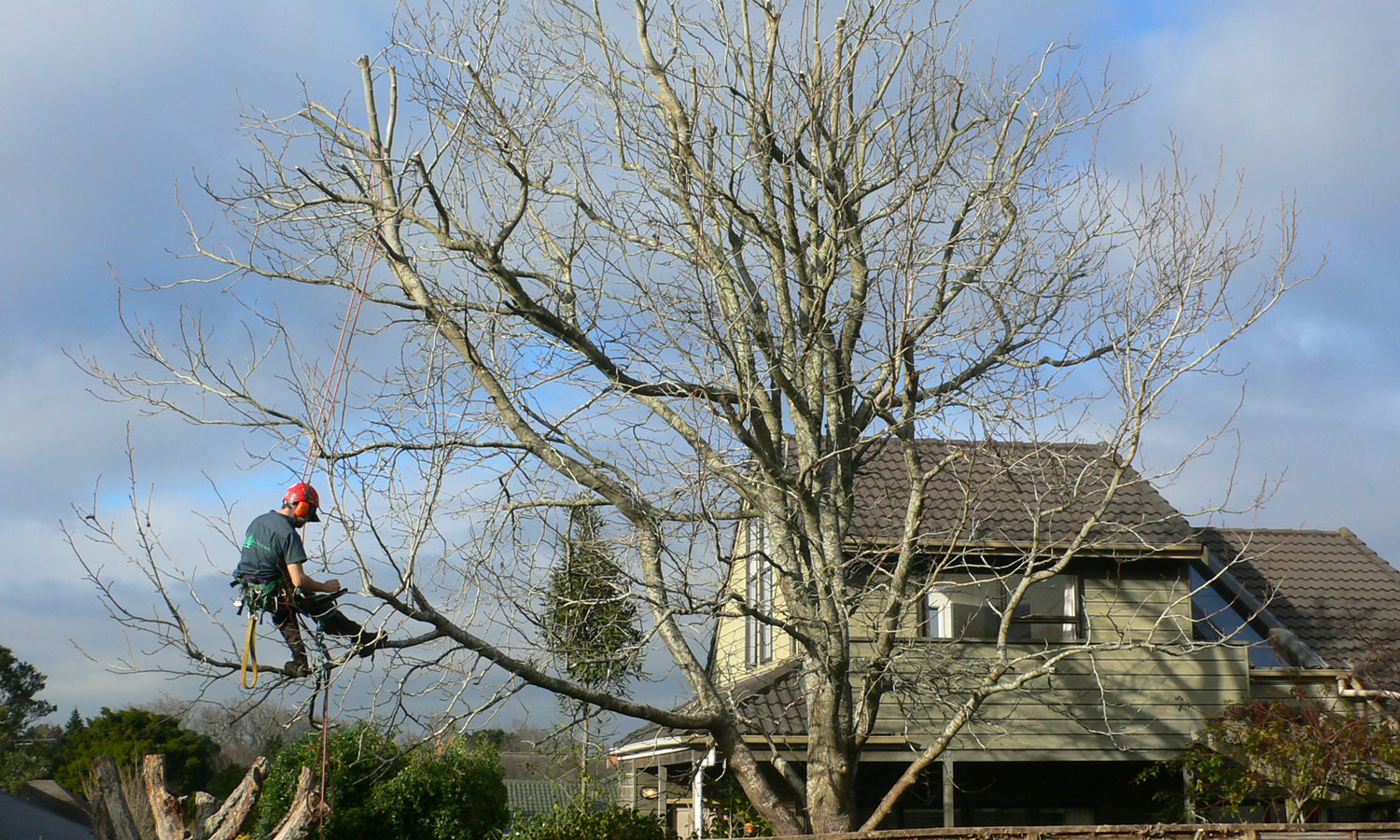 Corrective Pruning