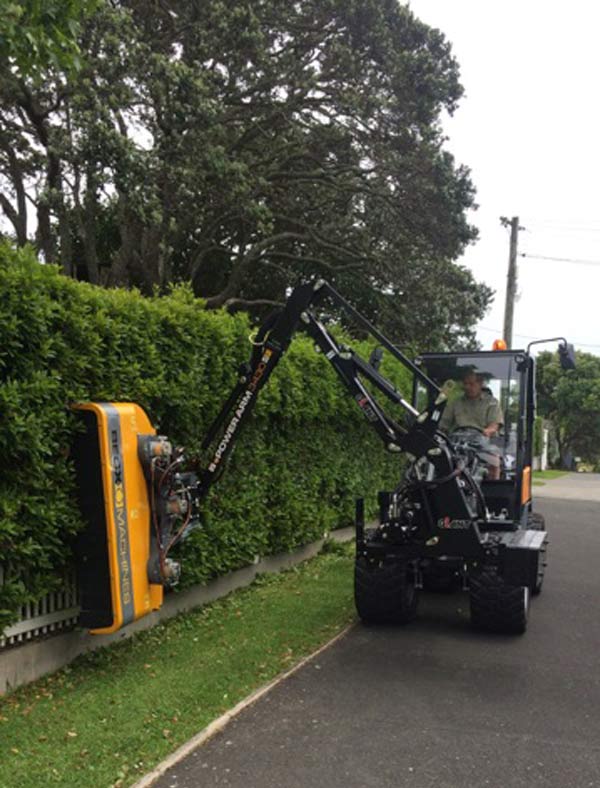 trimming large hedges